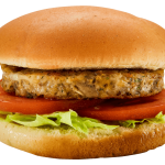 garden burger